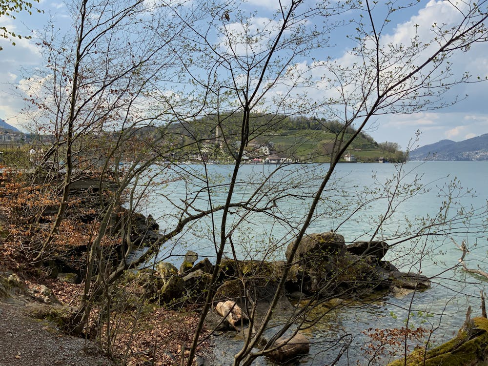 活着